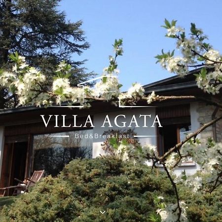 Villa Agata Reggio Emilia Exteriér fotografie