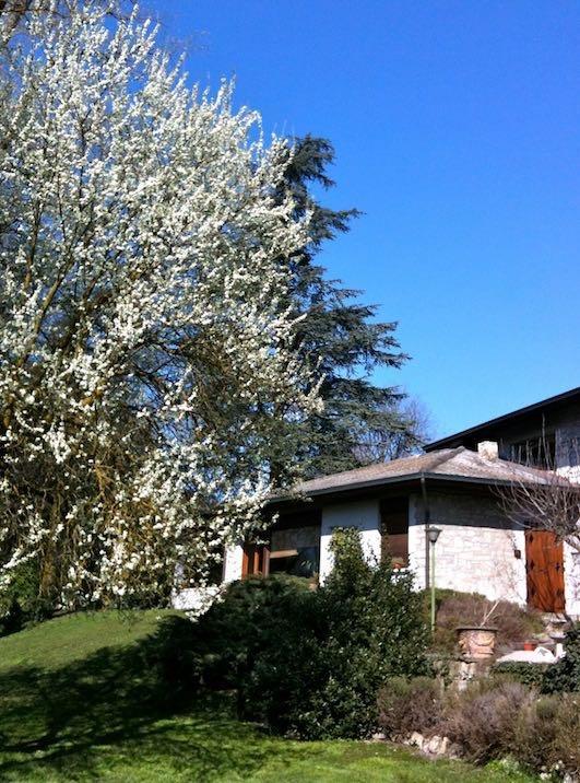 Villa Agata Reggio Emilia Exteriér fotografie